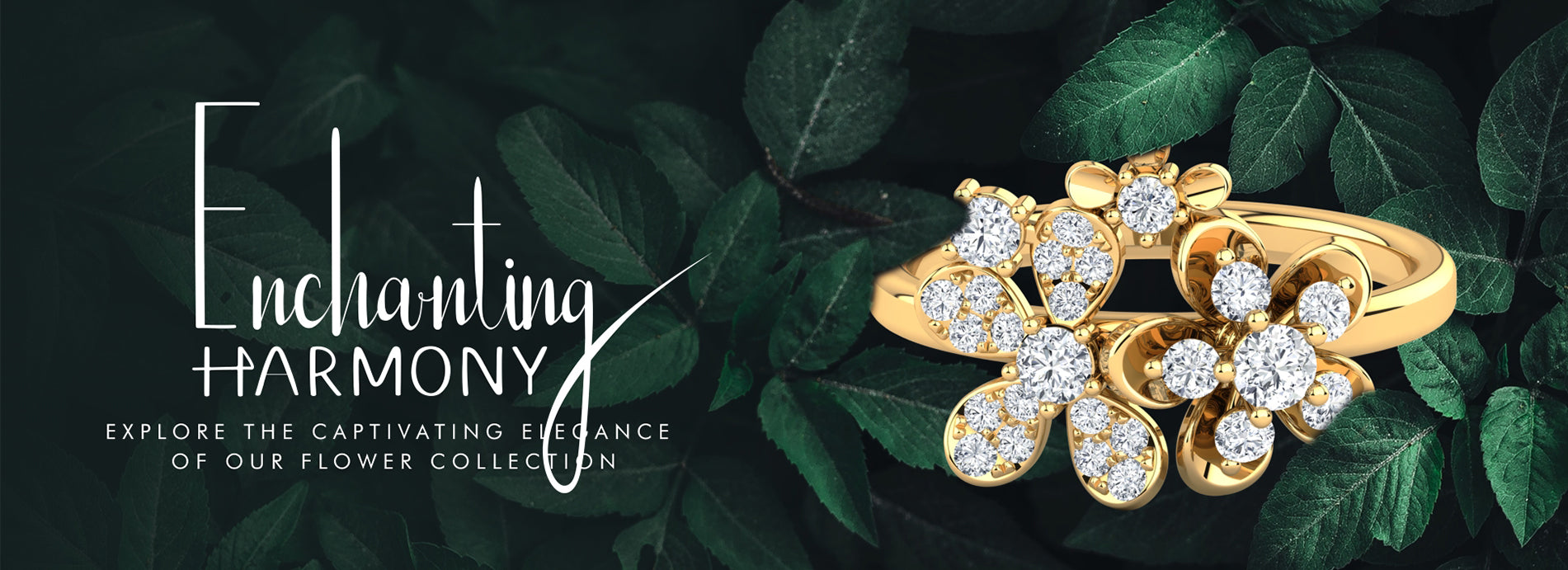 custom-slideshow-image-desktop-block_M9g6PJ