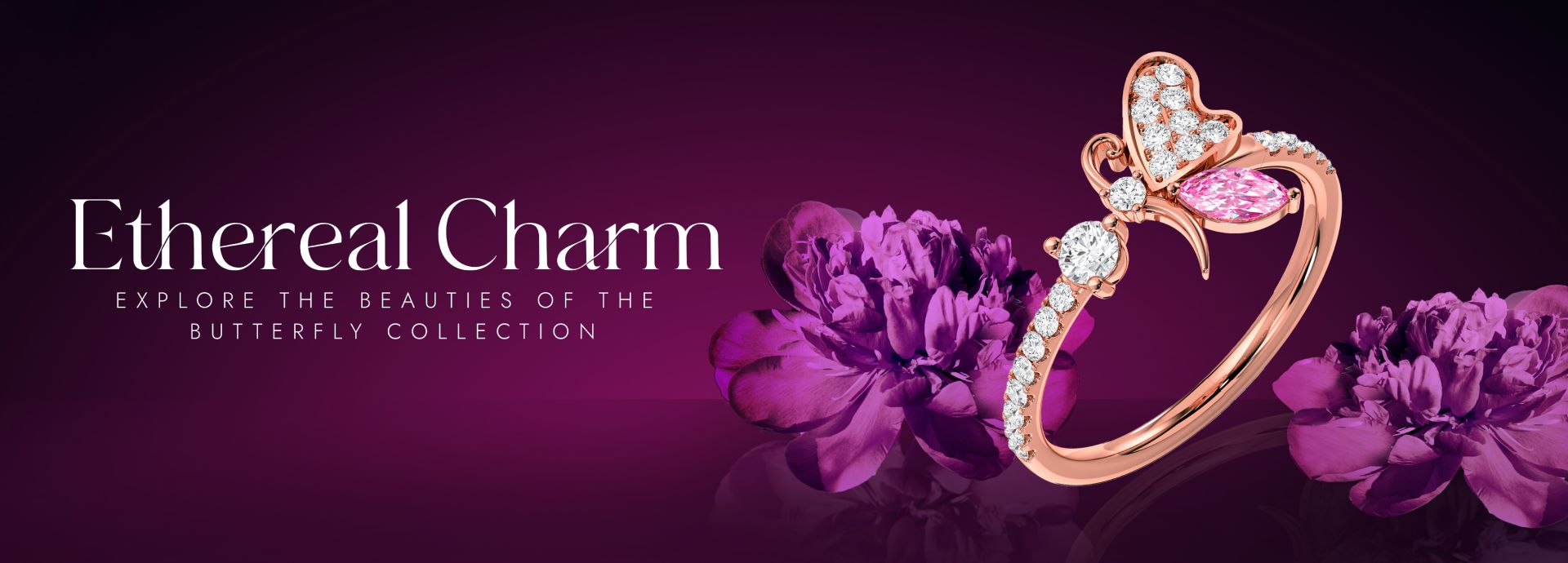 custom-slideshow-image-desktop-block_zF3gaV