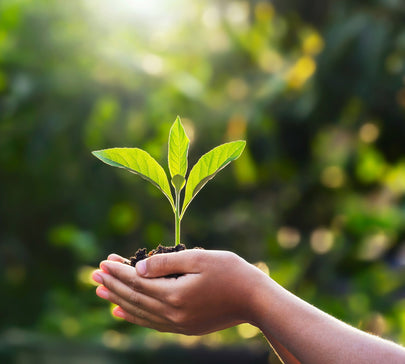 Responsibility & Sustainability